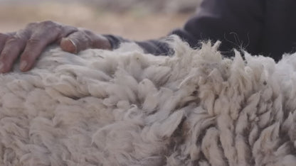 Laberinto Blanco