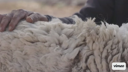 Laberinto Blanco